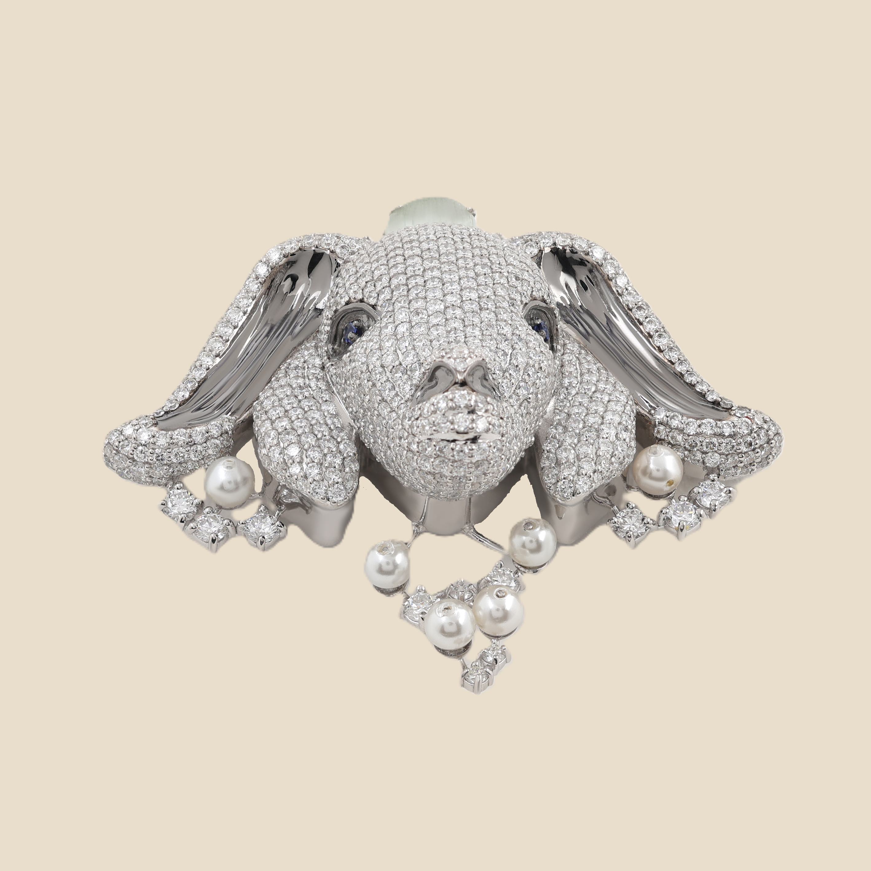 Capricorn Zodiac Symbol