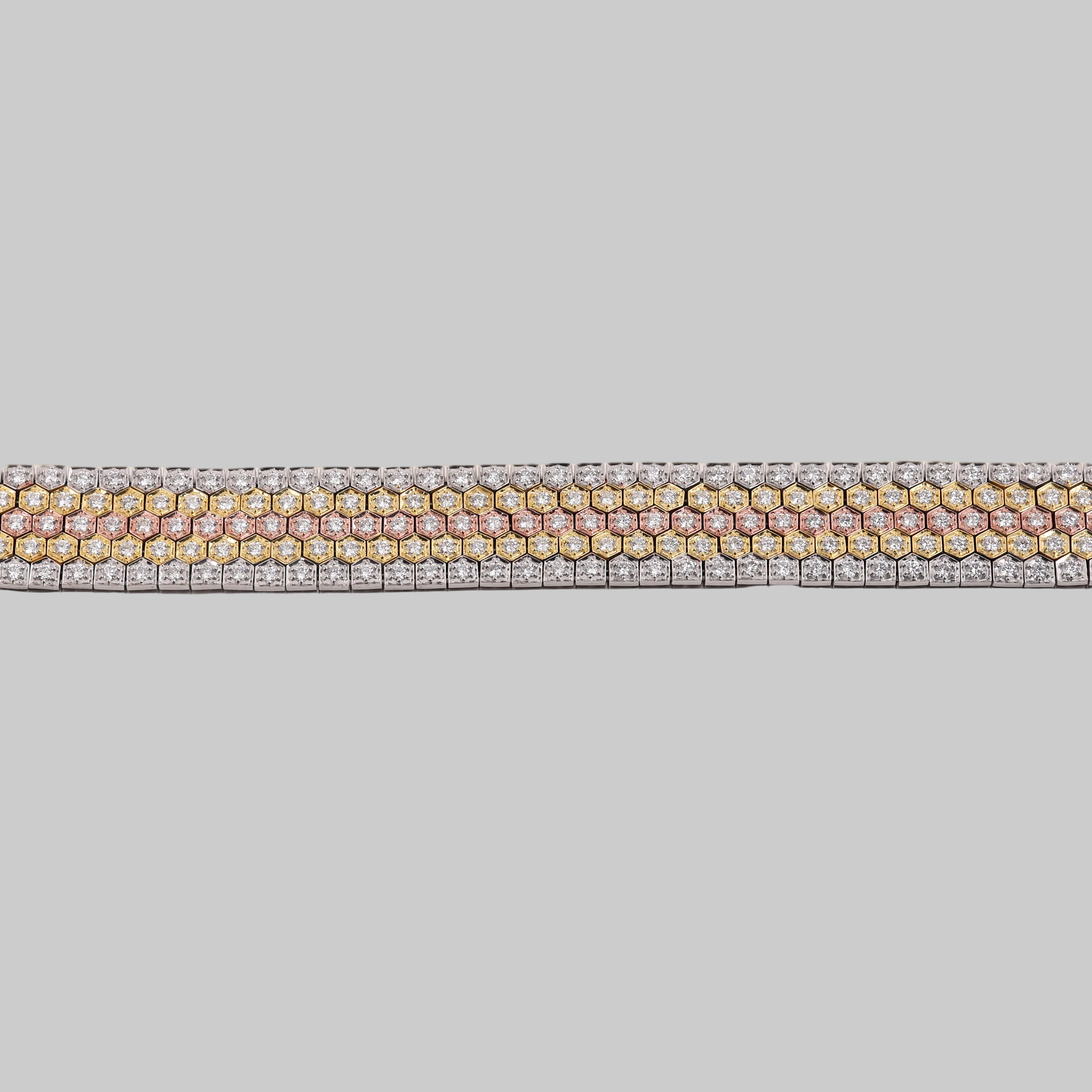 Rainbow Collar Tavari
