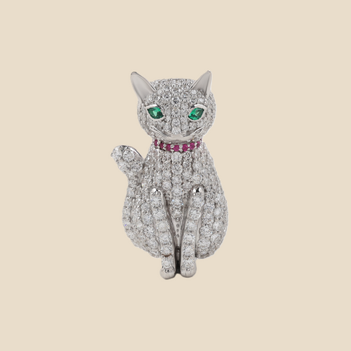 Cat Tavari
