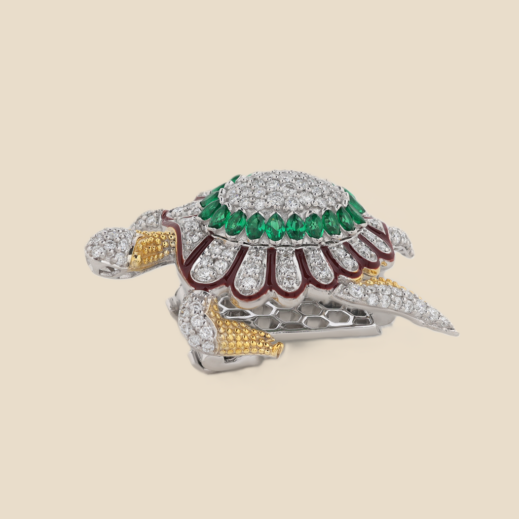 Turtle Tavari