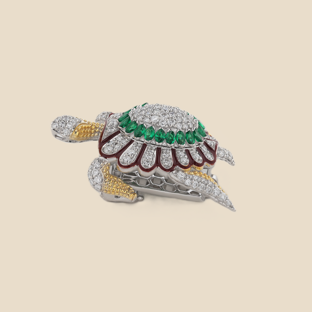 Turtle Tavari
