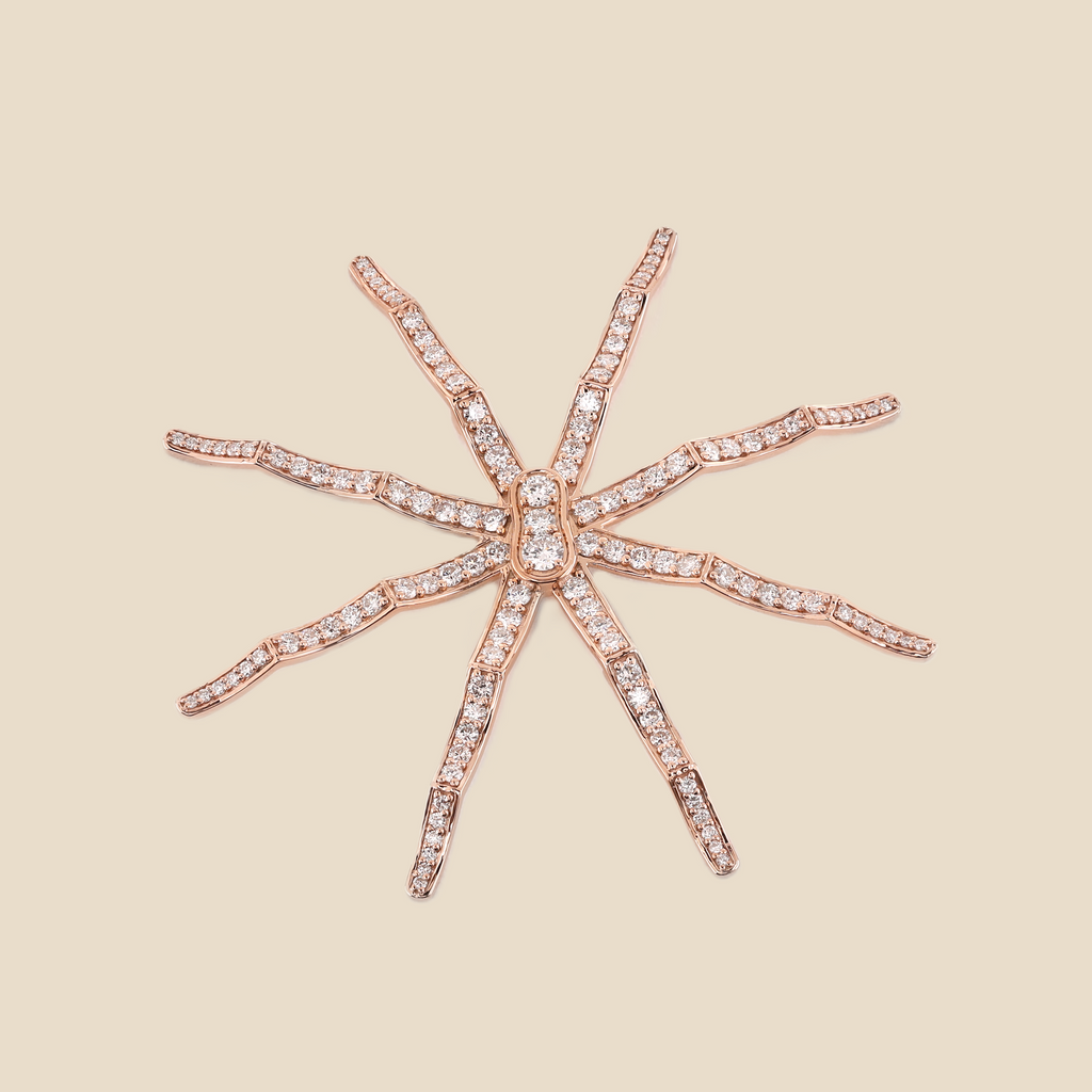 Spider Tavari