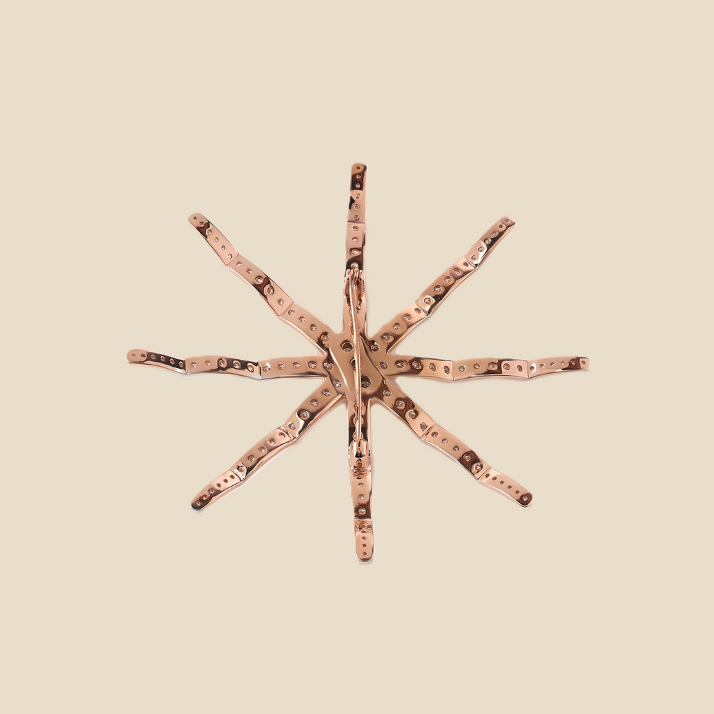 Spider Tavari
