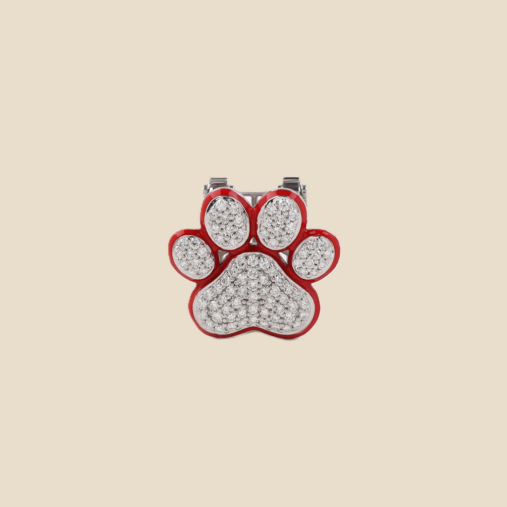 Paw Tavari