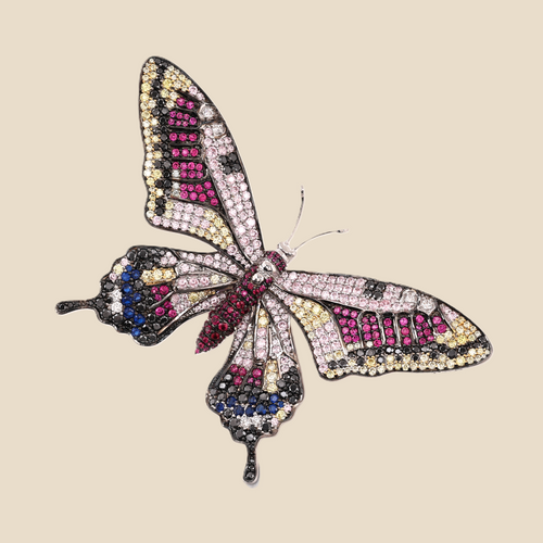 Butterfly Tavari