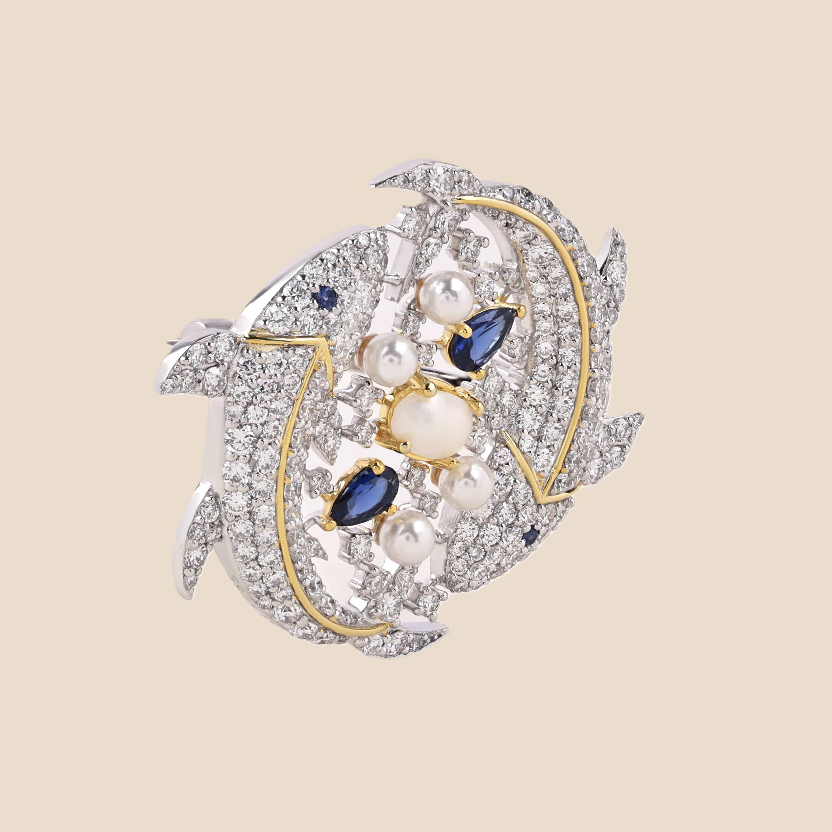 Pieces Zodiac Symbol