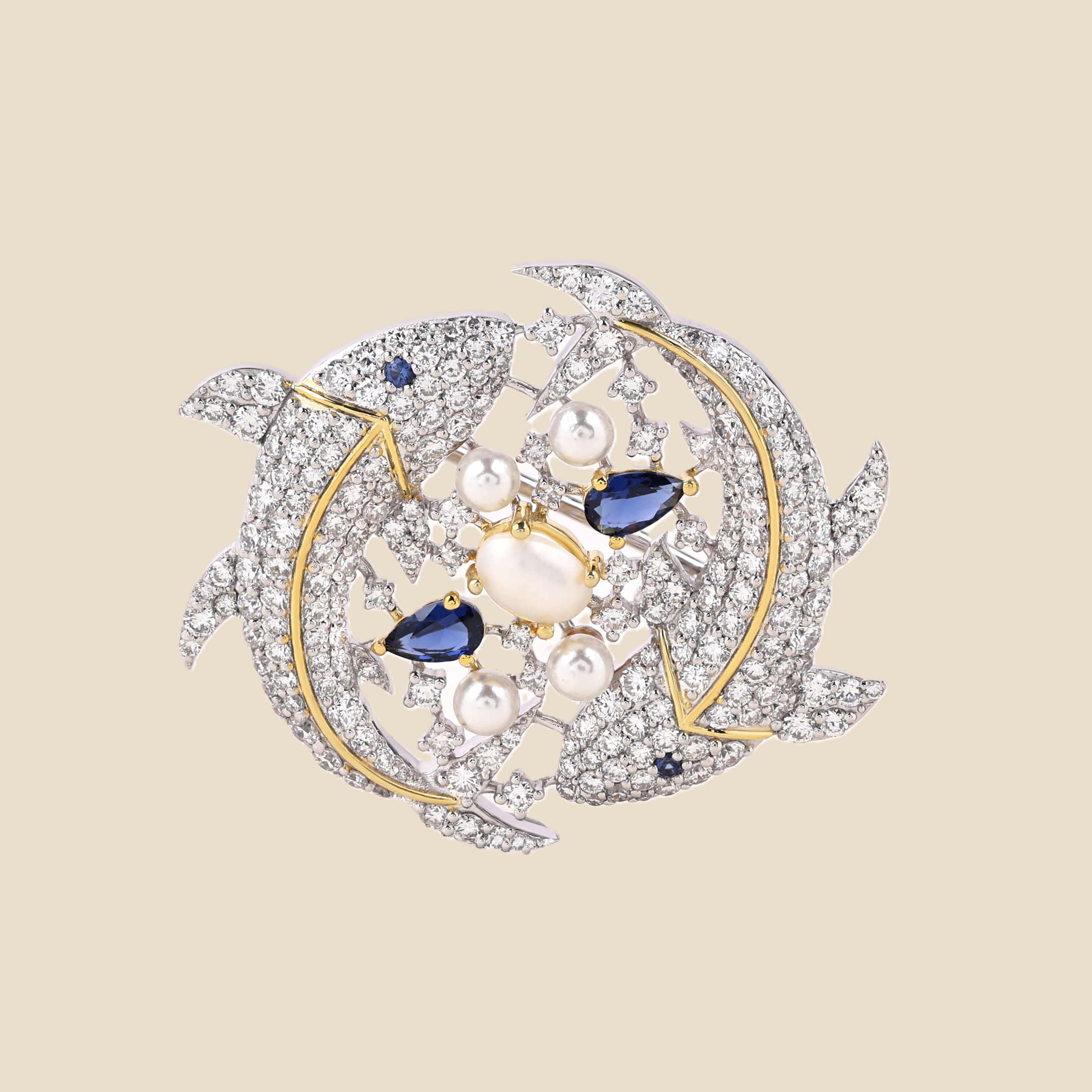 Pieces Zodiac Symbol