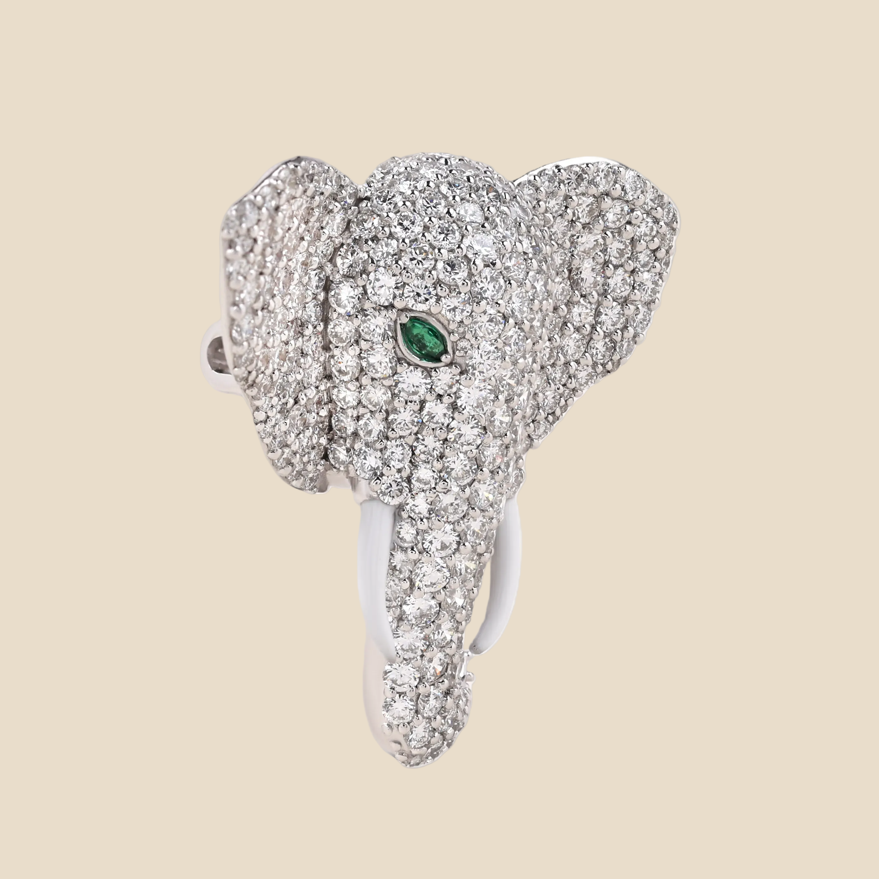 Elephant Tavari