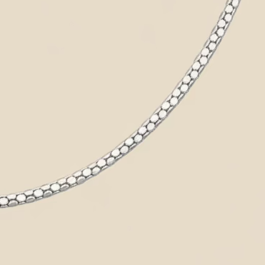 Snake skin Tavari