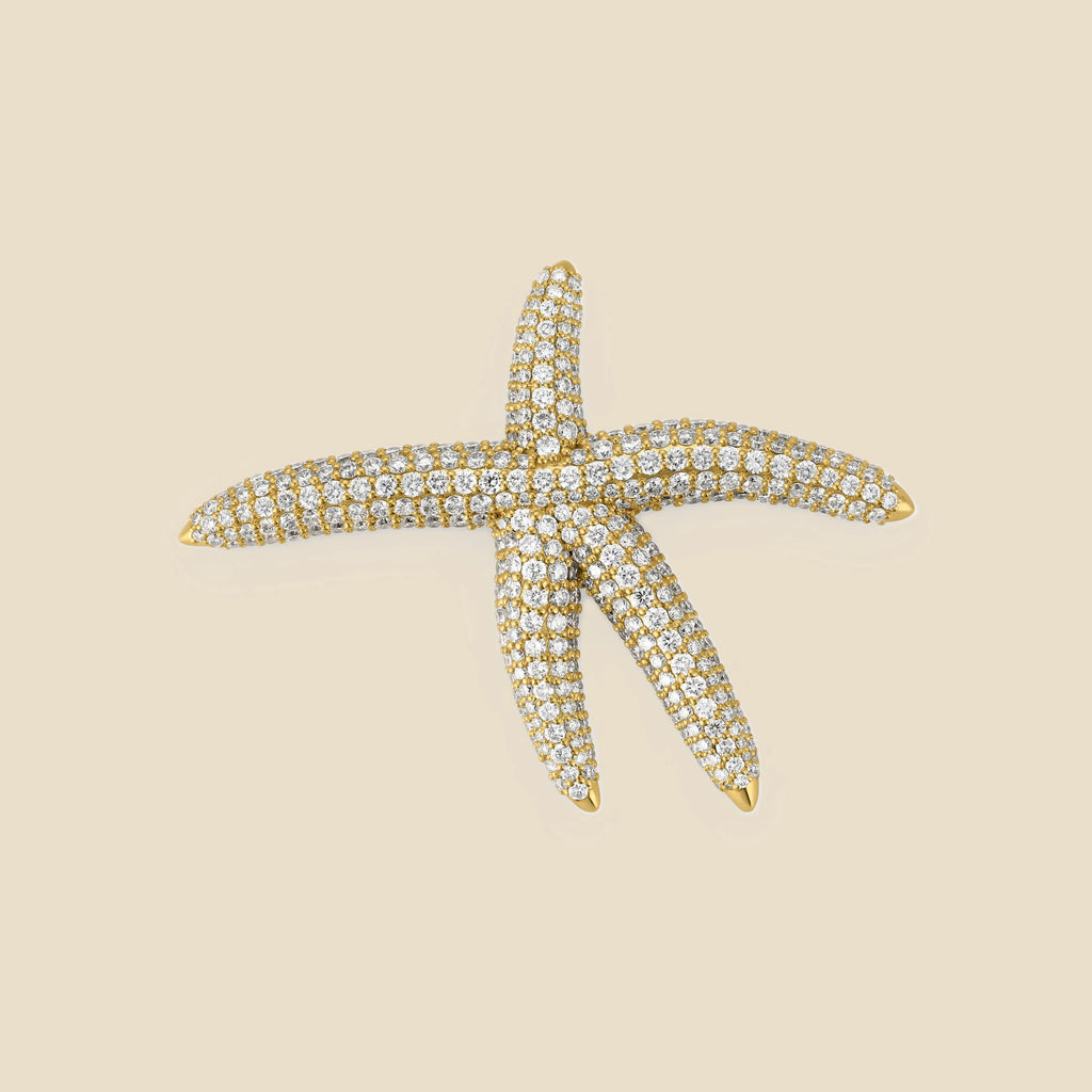 Starfish Tavari