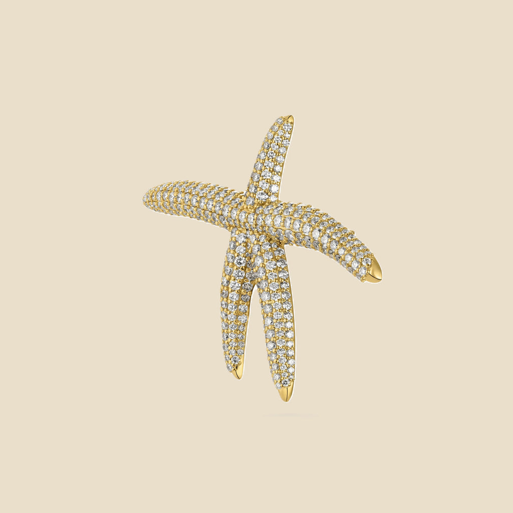 Starfish Tavari