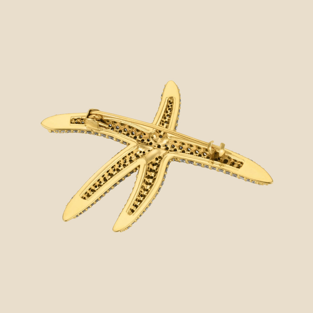 Starfish Tavari