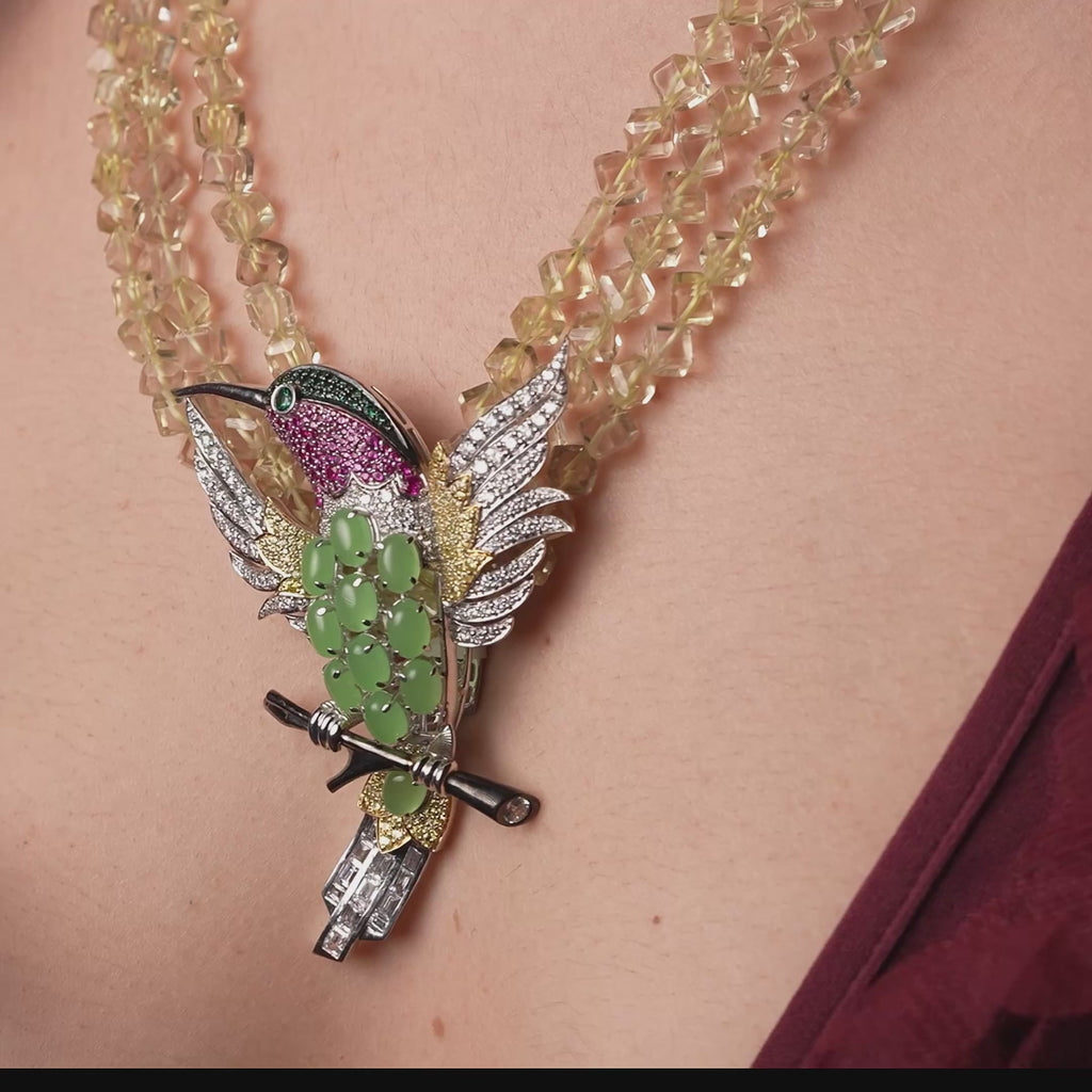 Humming Bird