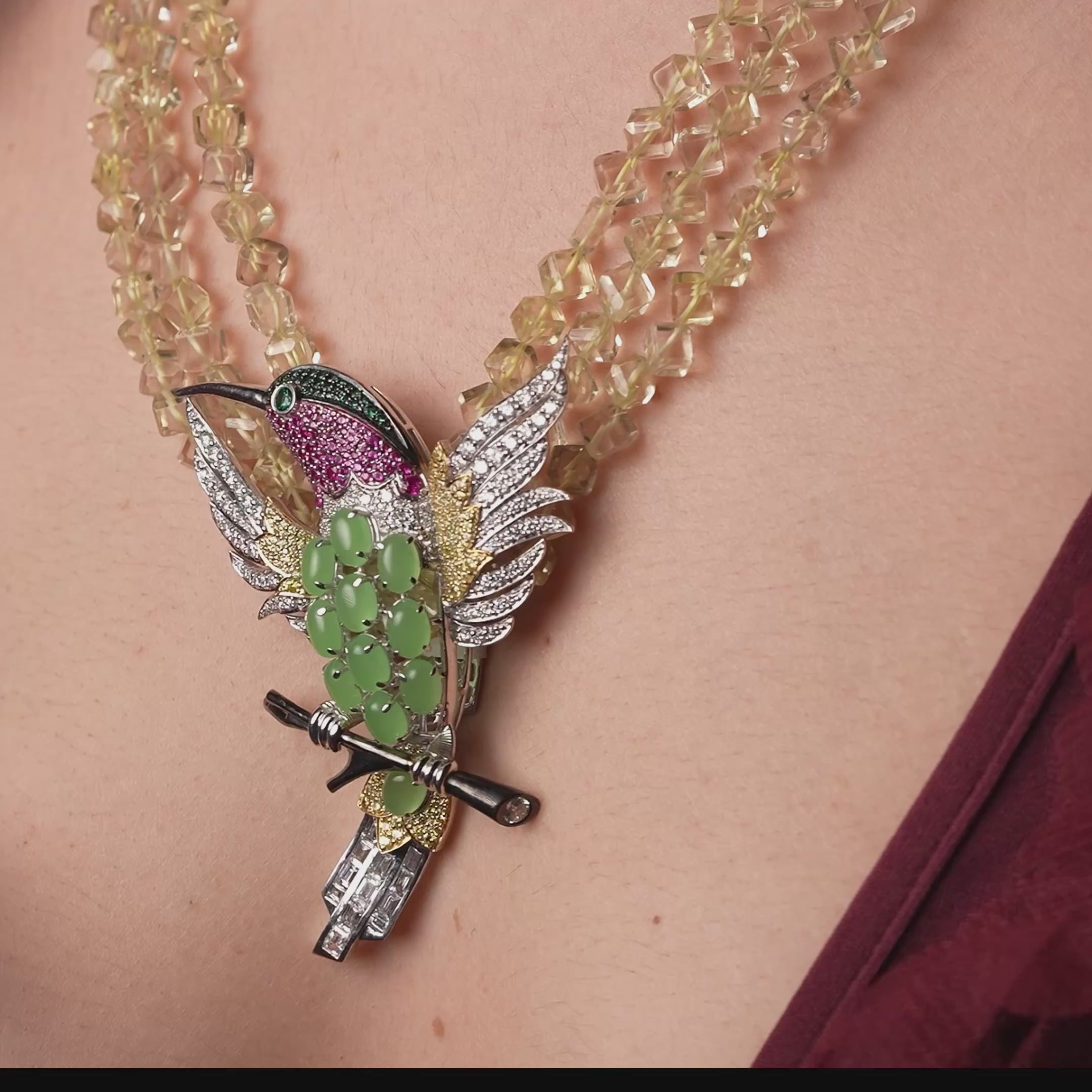 Humming Bird